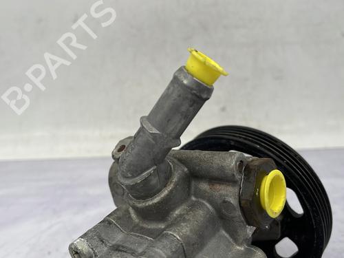 Steering pump DACIA SANDERO II 1.2 | BP30687339M99 