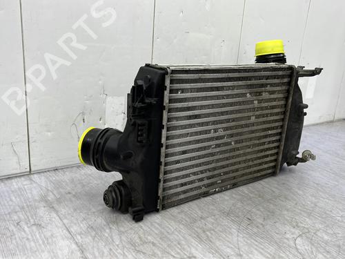 Used Intercooler Intercooler RENAULT MEGANE IV Hatchback (B9A/M/N_) 1.2 TCe 130 (B9MR) (130 hp) 23891417 23891417