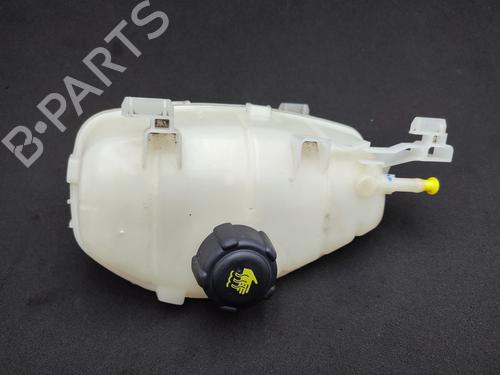 Expansion tank RENAULT KANGOO Express (FW0/1_) 1.5 dCi 80 (FW15) 217101312R