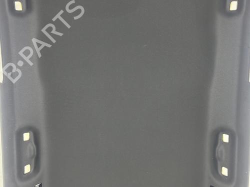 Interior roof PEUGEOT 2008 II (UD_, US_, UY_, UJ_, UR_, UC_) 1.5 BlueHDI 130 | BP23754537I12