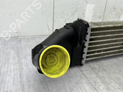 Intercooler DACIA LOGAN MCV (KS_) 1.5 dCi (KS0W) | BP26508254M30  - Image 5