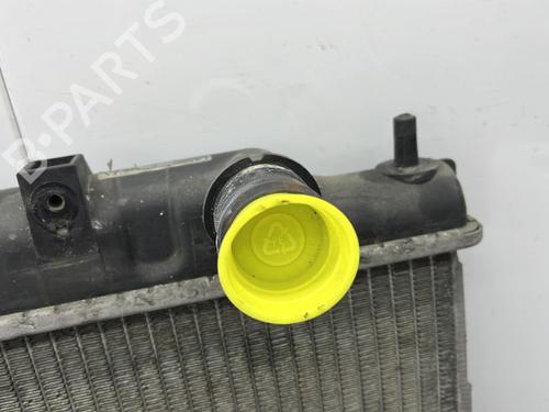 Used Water radiator Water radiator NISSAN X-TRAIL I (T30) 2.2 Di 4x4 (114 hp) 23754393 23754393