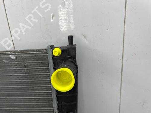 Water radiator RENAULT TWINGO II (CN0_) | BP34043850M31 - Image 8