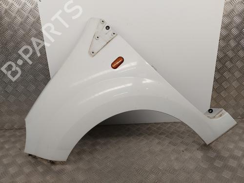 Left front fenders RENAULT TWINGO II (CN0_) 1.5 dCi (CN0E) | BP29864053C41