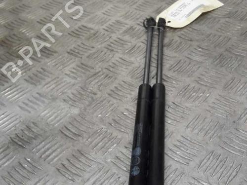 tailgate-lift-support-fiat-panda-312_-319_-2012-23734065 main image