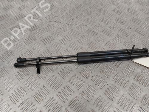 tailgate-lift-support-renault-twingo-ii-cn0_-2007-23746172 main image