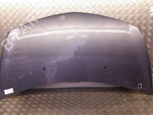 Used Hood RENAULT CLIO III (BR0/1, CR0/1) 1.2 16V (BR02, BR0J, BR11, CR02, CR0J, CR11) (75 hp) 23724075