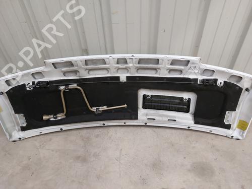 Hood RENAULT TRAFIC Van (T_, P_, V_) 2.1 D | BP23713492C1