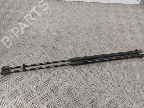 Tailgate lift support OPEL CORSA D (S07) 1.3 CDTI (L08, L68) | BP28163021C138 
