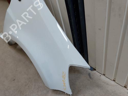 Right front fenders RENAULT CLIO III (BR0/1, CR0/1) 1.5 dCi (C/BR0G, C/BR1G) | BP28130816C42 