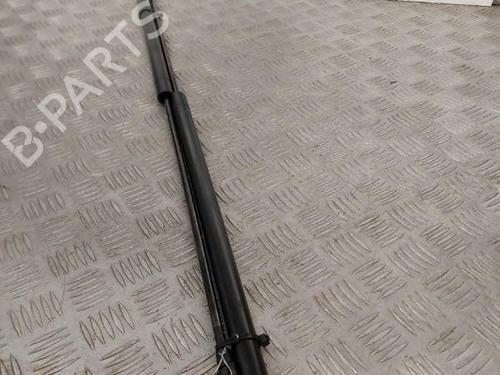 Tailgate lift support SEAT TOLEDO III (5P2) 1.9 TDI | BP23724440C138 