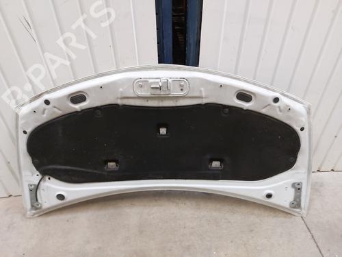 Hood RENAULT CLIO III (BR0/1, CR0/1) 1.5 dCi (C/BR0G, C/BR1G) | BP28130817C1 