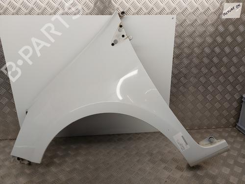 Used Left front fenders RENAULT CLIO III (BR0/1, CR0/1) 1.5 dCi (C/BR0G, C/BR1G) (68 hp) 26040434
