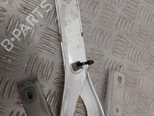 Hinge/Door check strap CITROËN BERLINGO MULTISPACE (B9) 1.6 HDi 110 | BP30969085C146 
