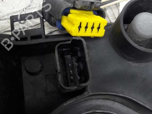 Used Lamp holder RENAULT MEGANE II (BM0/1_, CM0/1_) 1.5 dCi (BM02, BM13, BM2A, CM02, CM13) (101 hp) 23658432