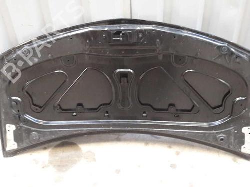 Hood RENAULT CLIO III (BR0/1, CR0/1) 1.5 dCi (BR17, CR17) | BP23657899C1 