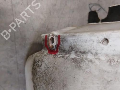 Hub cap NISSAN CABSTAR E (TL_, VL_) 28.10, 32.10 | BP25259483C160 
