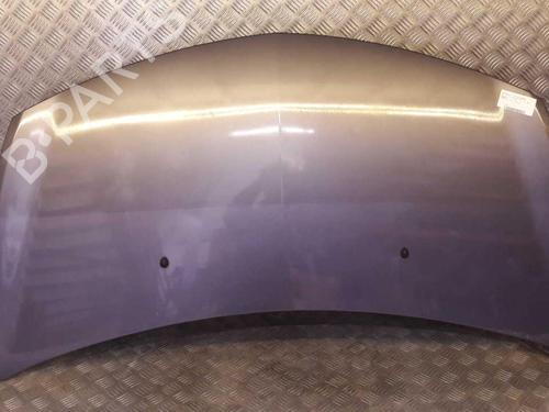Hood RENAULT CLIO III (BR0/1, CR0/1) 1.5 dCi (BR17, CR17) | BP23734676C1 