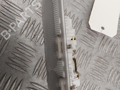 Interior roof light RENAULT MEGANE II (BM0/1_, CM0/1_) 1.5 dCi (BM1F, CM1F) | BP23659908I8 