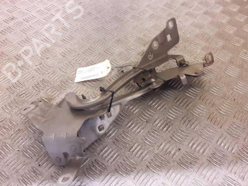 Hinge/Door check strap RENAULT SCÉNIC III (JZ0/1_) 2.0 16V (JZ0G, JZ0P, JZ1E, JZ1P) 654012134R