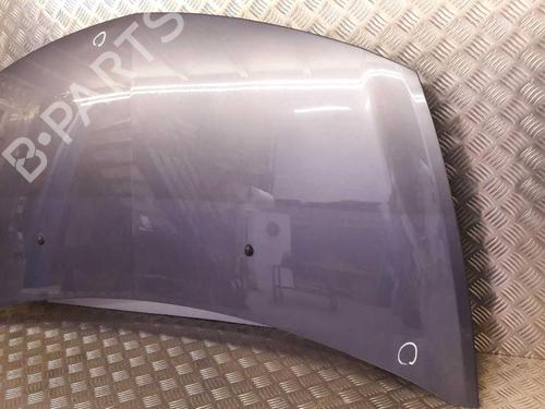 Hood RENAULT CLIO III (BR0/1, CR0/1) 1.2 16V (BR02, BR0J, BR11, CR02, CR0J, CR11) | BP23724075C1 