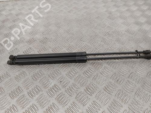 tailgate-lift-support-dacia-lodgy-js_-2012-27693704 main image