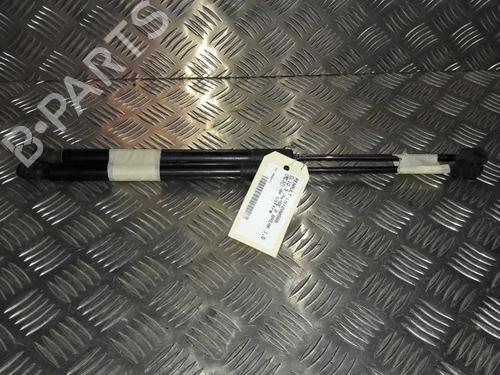 tailgate-lift-support-renault-clio-iii-grandtour-kr01_-2007-23716084 main image