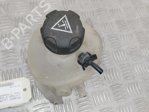 Used Expansion tank PEUGEOT PARTNER Tepee 1.6 HDi 16V (90 hp) 24875776
