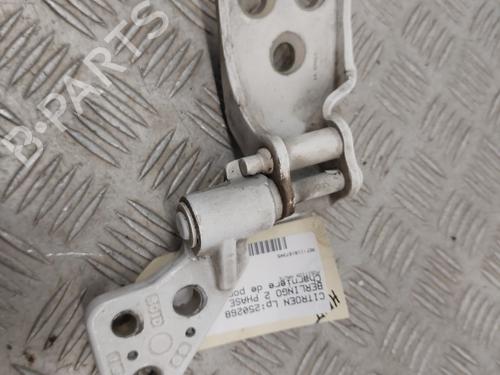 Cerniera/Limitatore di apertura porta CITROËN BERLINGO MULTISPACE (B9) 1.6 HDi 110 (109 hp) 30969106