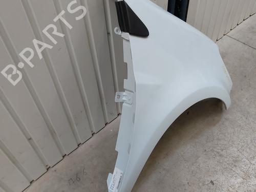 Right front fenders RENAULT CLIO III (BR0/1, CR0/1) 1.5 dCi (C/BR0G, C/BR1G) | BP28130816C42 