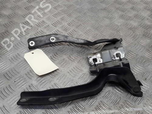 Hinge/Door check strap NISSAN QASHQAI / QASHQAI +2 I (J10, NJ10, JJ10E) 1.5 dCi | BP23734303C146 