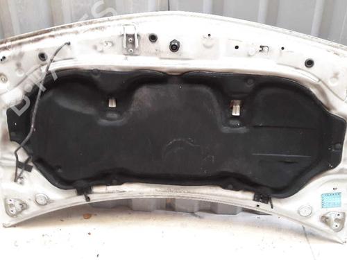 Hood RENAULT MEGANE II (BM0/1_, CM0/1_) 1.5 dCi (BM02, BM13, BM2A, CM02, CM13) | BP23716339C1 