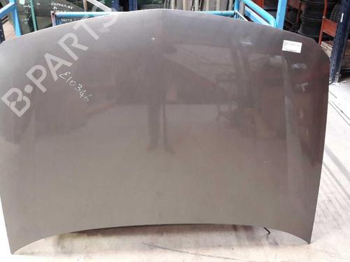 Used Hood RENAULT LAGUNA II (BG0/1_) 1.9 dCi (BG1A, BG1W, BG0G) (110 hp) 23716313