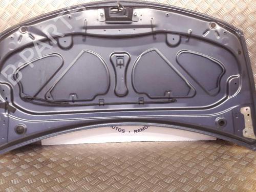 Hood RENAULT CLIO III (BR0/1, CR0/1) 1.2 16V (BR02, BR0J, BR11, CR02, CR0J, CR11) | BP23724075C1 