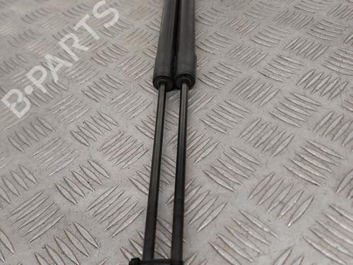 hood-lift-support-renault-megane-iv-hatchback-b9amn_-2015-23747338 main image