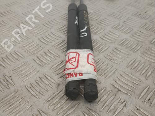 Tailgate lift support VW GOLF V (1K1) 1.9 TDI | BP29052463C138 