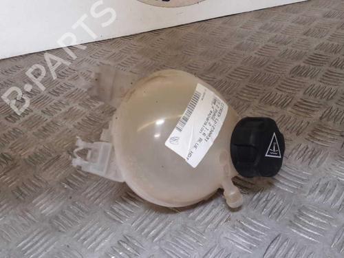 expansion-tank-citroen-c3-ii-sc_-2009-23728335 main image
