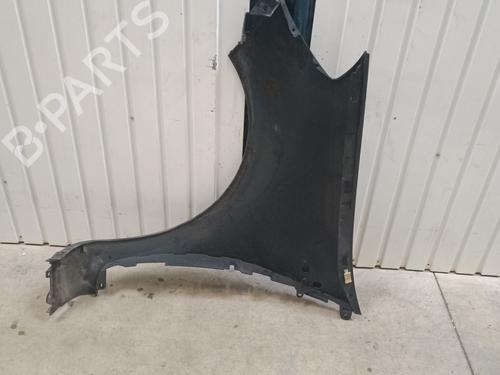 Right front fenders RENAULT CLIO III (BR0/1, CR0/1) 1.6 16V (BR09, BR0T, CR09, CR0T) | BP29222329C42 