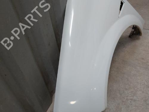 Left front fenders RENAULT MEGANE II (BM0/1_, CM0/1_) 1.5 dCi (BM1F, CM1F) | BP23746915C41 