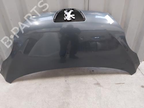 Hood PEUGEOT 107 (PM_, PN_) 1.4 HDi | BP23748260C1