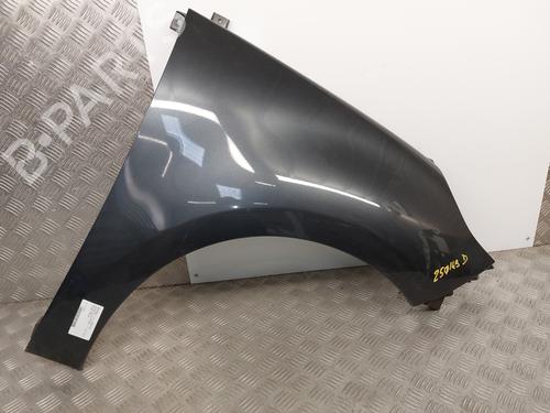 Used Right front fenders RENAULT SCÉNIC III (JZ0/1_) 1.5 dCi (110 hp) 26147998