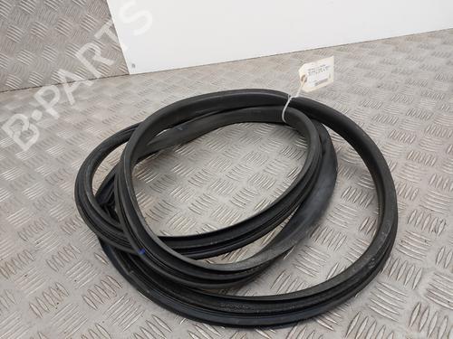 Rubber door seal RENAULT MEGANE III Grandtour (KZ0/1) 1.5 dCi (KZ09, KZ0D, KZ1G, KZ29, KZ14, KZ1W, KZ10, KZ1F,... | BP29336374C142 