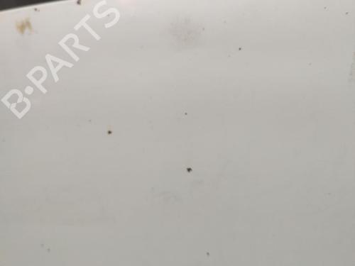 Hood CITROËN JUMPY I (U6U_) 1.9 TD | BP23658591C1 