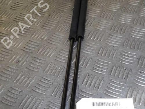 tailgate-lift-support-ford-focus-c-max-dm2-2003-2004-2005-2006-2007-23725533 main image