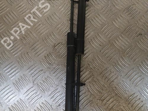 tailgate-lift-support-renault-zoe-bfm_-2012-23725939 main image