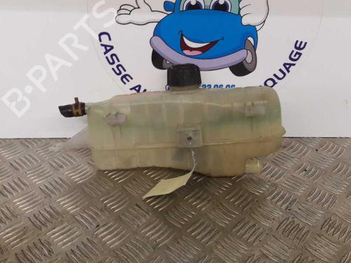 Used Expansion tank RENAULT CLIO III (BR0/1, CR0/1) 1.2 16V (BR02, BR0J, BR11, CR02, CR0J, CR11) (75 hp) 23656788