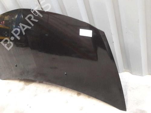 Hood RENAULT CLIO III (BR0/1, CR0/1) 1.5 dCi (BR17, CR17) | BP23657899C1 