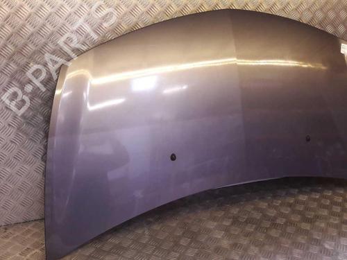 Hood RENAULT CLIO III (BR0/1, CR0/1) 1.5 dCi (BR17, CR17) | BP23734676C1 
