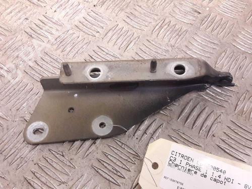 Hinge/Door check strap CITROËN C3 I (FC_, FN_) 1.4 HDi | BP23717376C146 