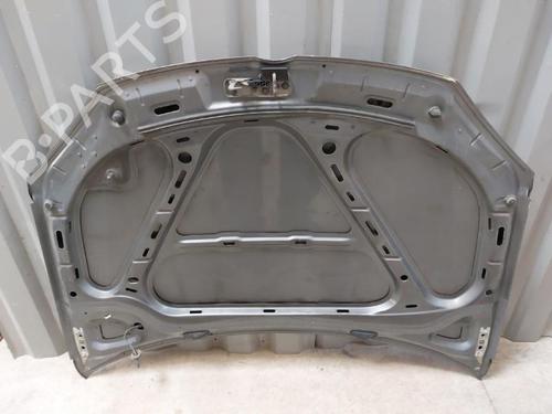 Hood VW GOLF V (1K1) 1.9 TDI | BP23744290C1 